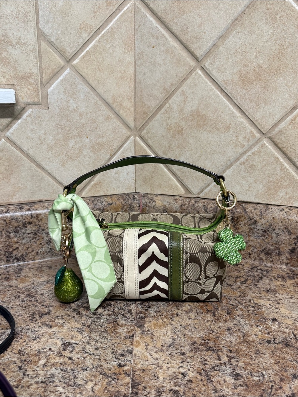 Coach Mini Bag in Green and Khaki Signature Canvas with Zebra Stripe